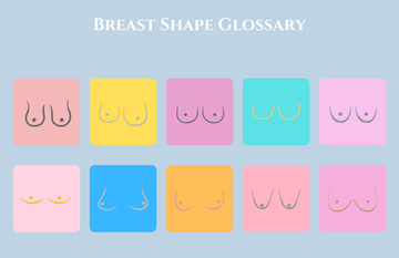 Breast Shape Glossary